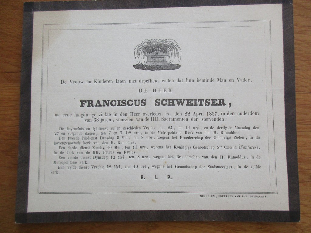 Photo article